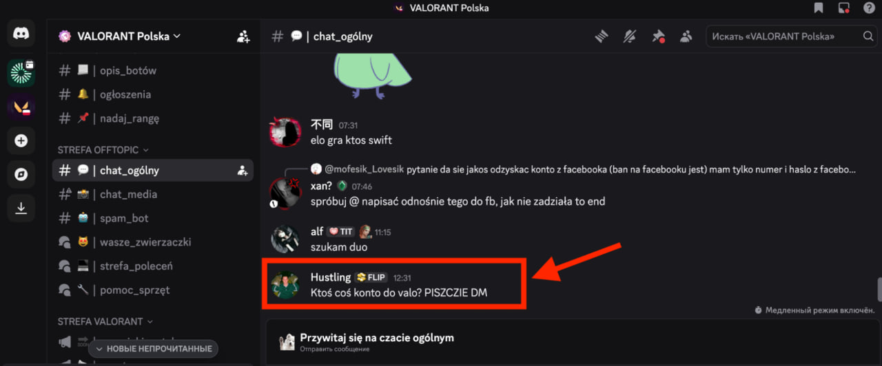 Как добывать трафик с Discord в 2026 году-2